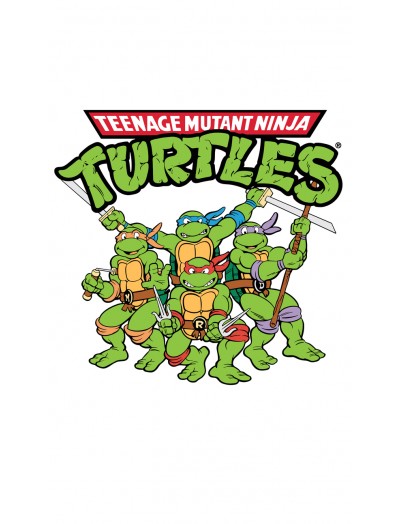 TURTLES 19 CM